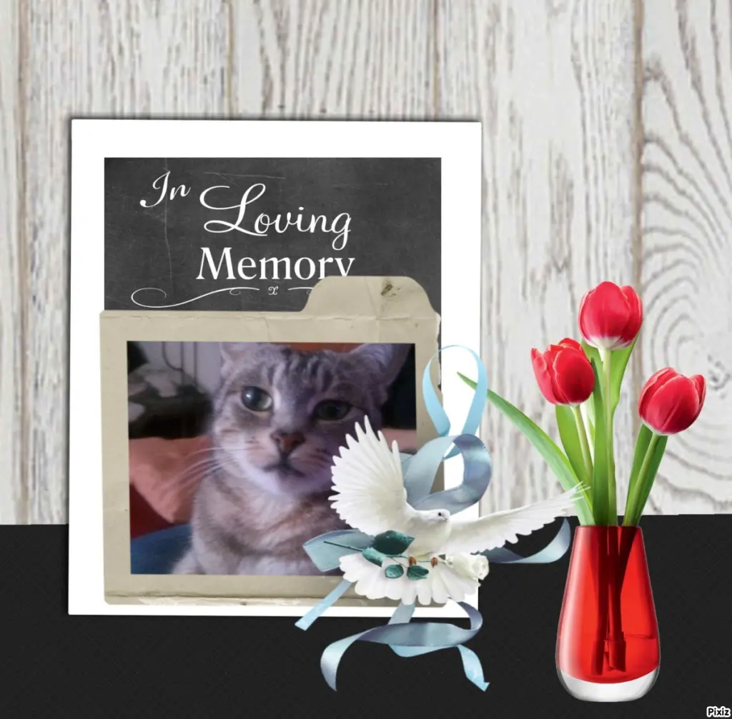 Andachtsbild von Patricia mit Bunny ❤️