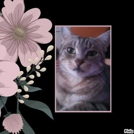 Andachtsbild von Sternchenpost ⭐