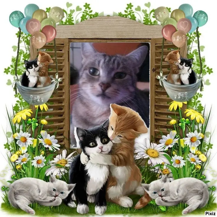 Andachtsbild von Sternchenpost ⭐