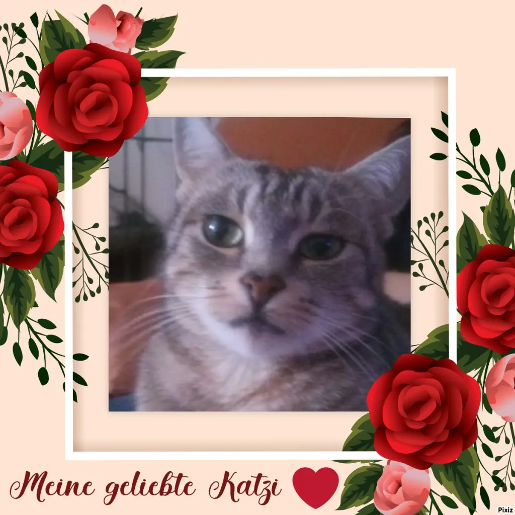 Andachtsbild von Sternchenpost ⭐