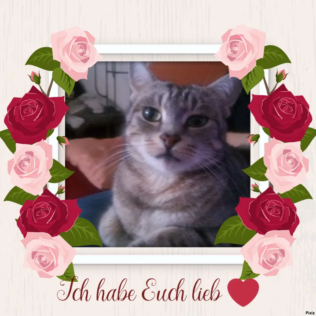 Andachtsbild von Patricia mit Bunny 