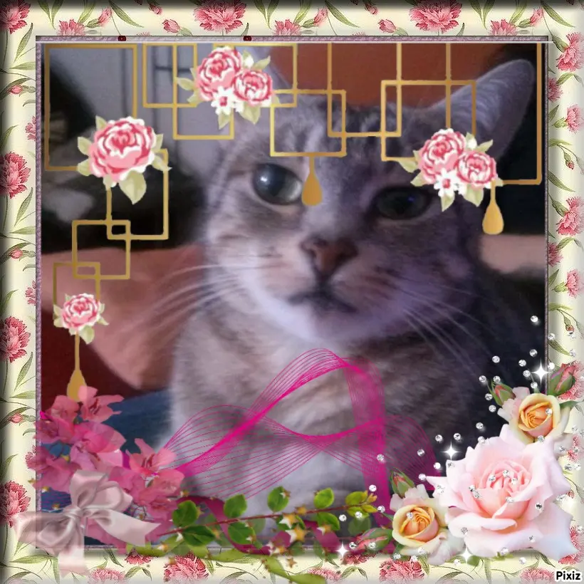 Andachtsbild von Patricia mit Bunny ❤️ 