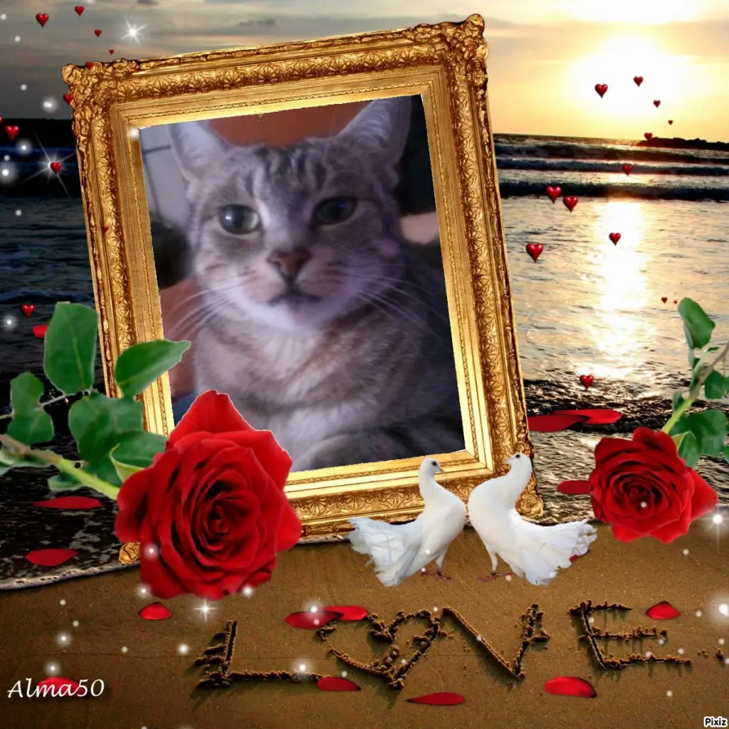 Andachtsbild von Sternchenpost ⭐