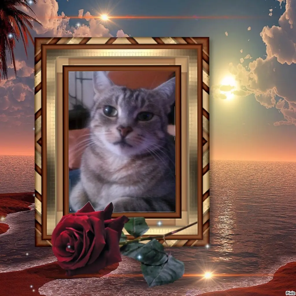 Andachtsbild von Sternchenpost ⭐