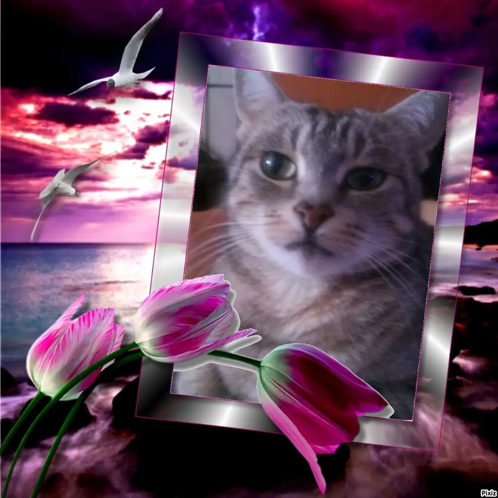 Andachtsbild von Sternchenpost ⭐