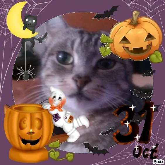 Andachtsbild von Happy Halloween 