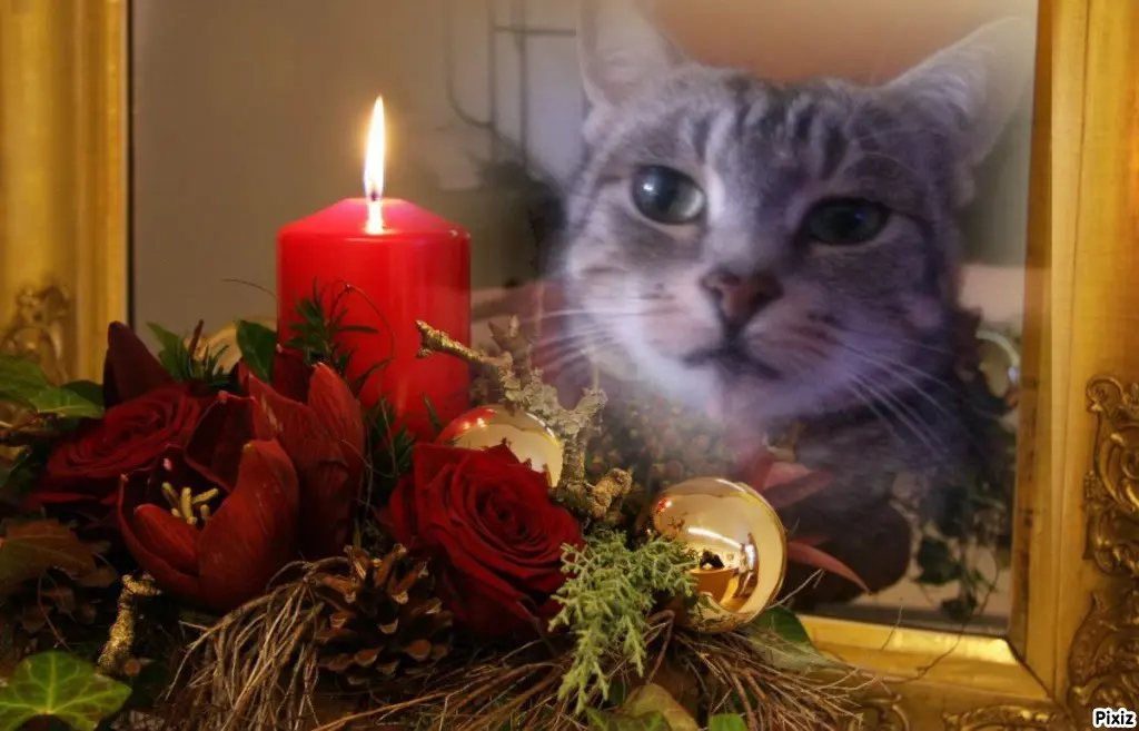 Andachtsbild von Patricia mit Bunny ❤️ 