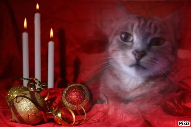 Andachtsbild von Sternchenpost ⭐