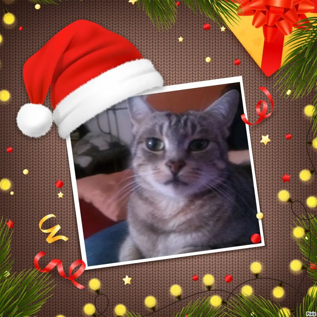 Andachtsbild von Schöne Festtage ❤️