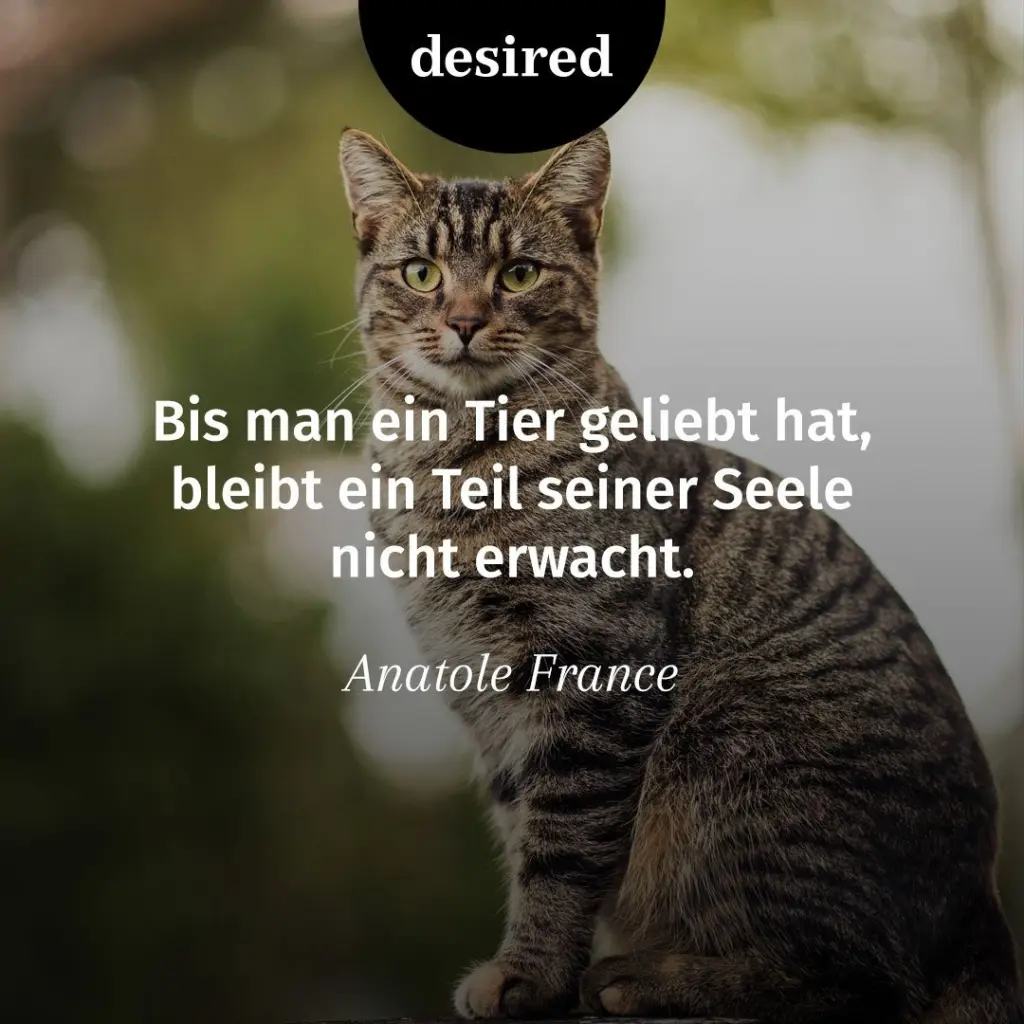 Andachtsbild von In ewiger Liebe ❤️