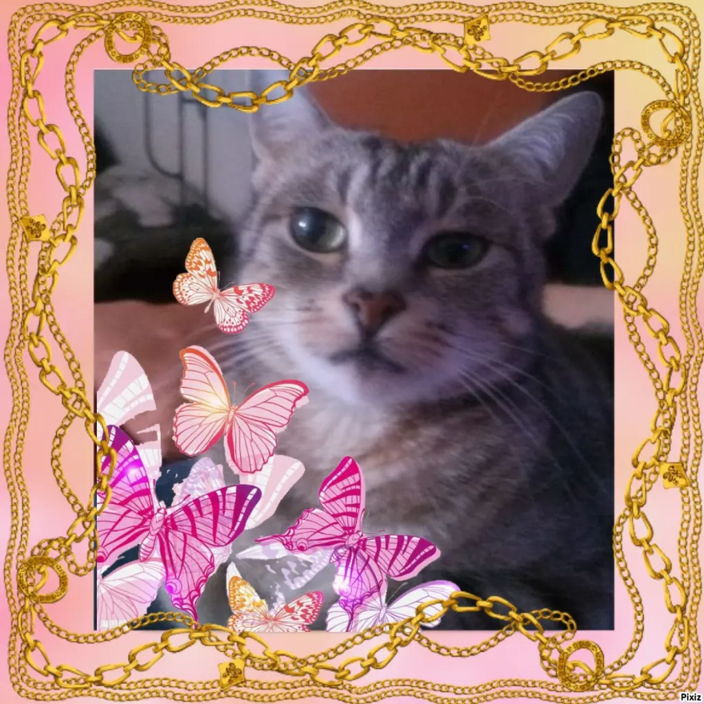 Andachtsbild von Sternchenpost ⭐