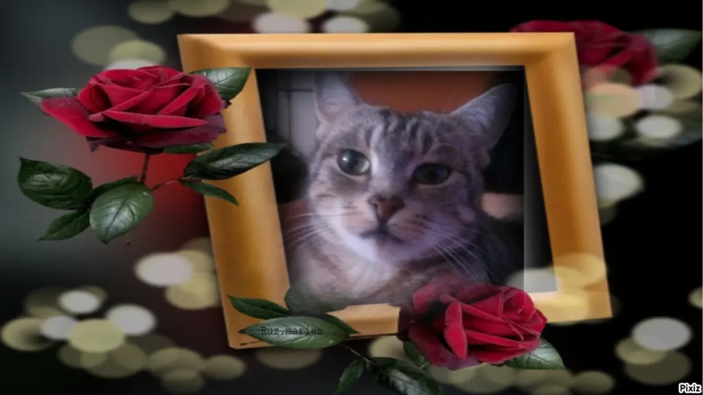 Andachtsbild von Sternchenpost ⭐