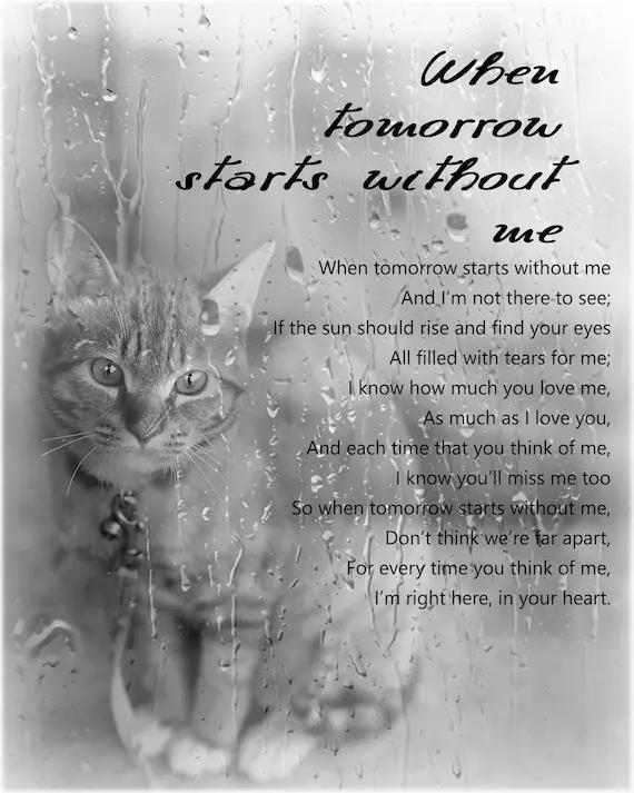 Andachtsbild von In ewiger Liebe ❤️