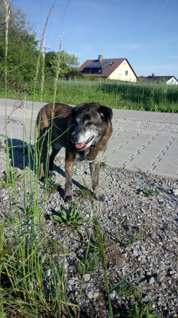 Andachtsbild von Gabi mit Max gest.20.11.2020❣️