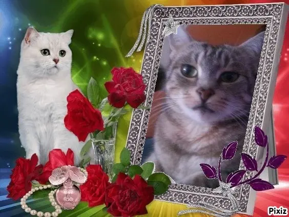 Andachtsbild von Sternchenpost ⭐