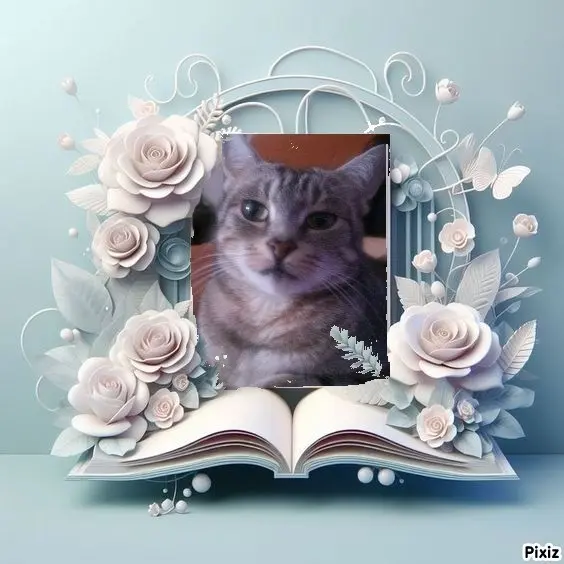 Andachtsbild von Sternchenpost ⭐