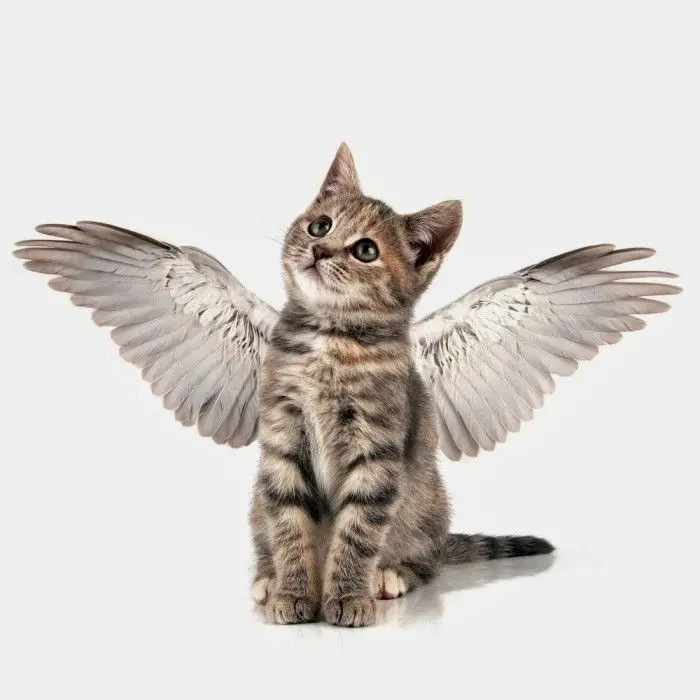 Andachtsbild von In Liebe ❤️❤️❤️