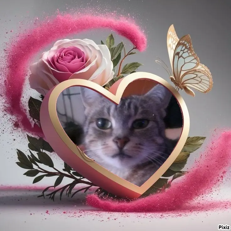 Andachtsbild von Sternchenpost ⭐