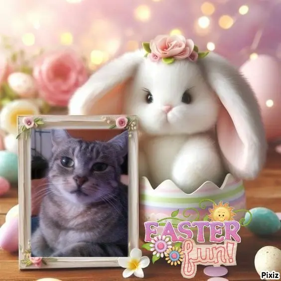 Andachtsbild von Frohe Ostern