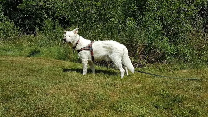 Andachtsbild von Katrin