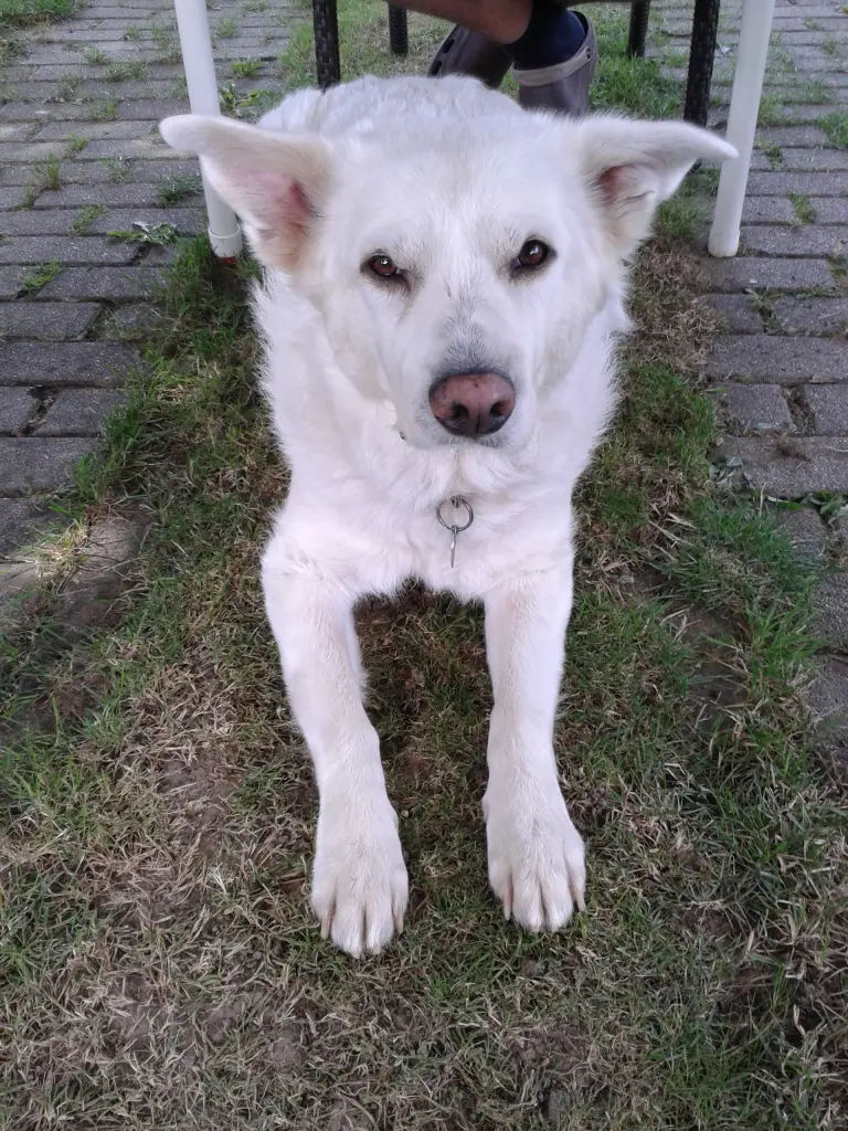 Andachtsbild von Katrin