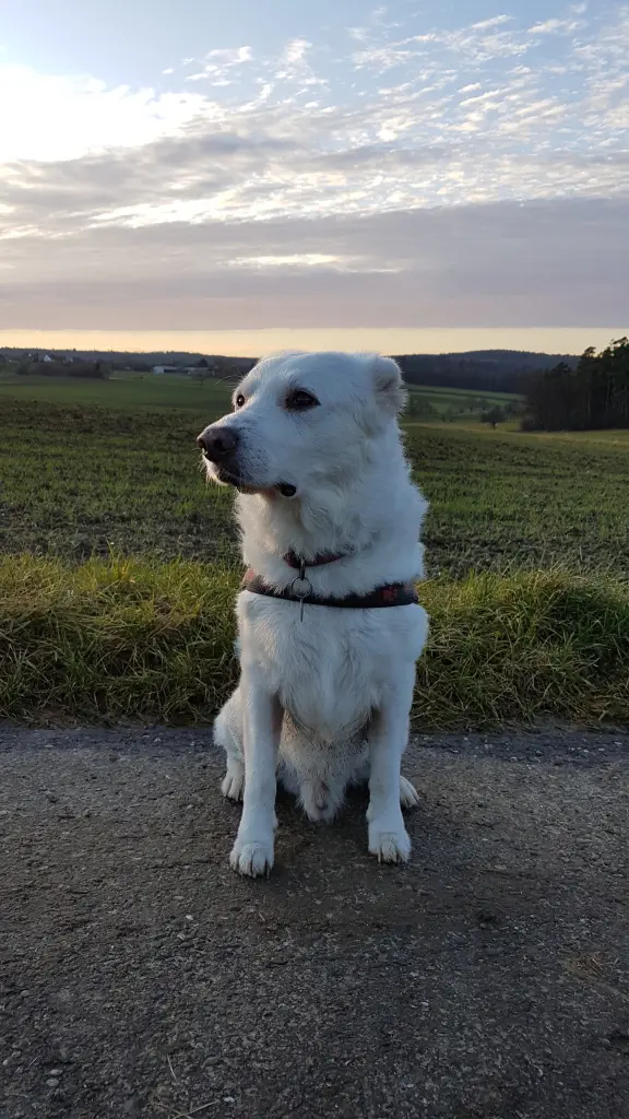 Andachtsbild von Katrin