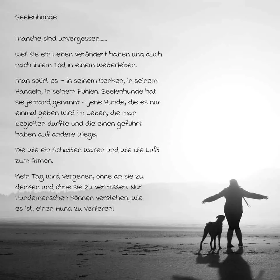 Condolence image of Tina  Schniewind 