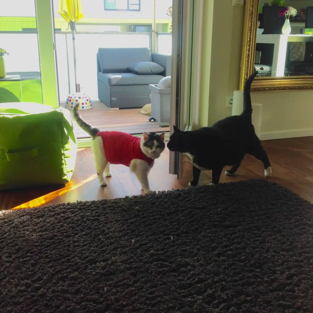 Image from Cleo & JimBob