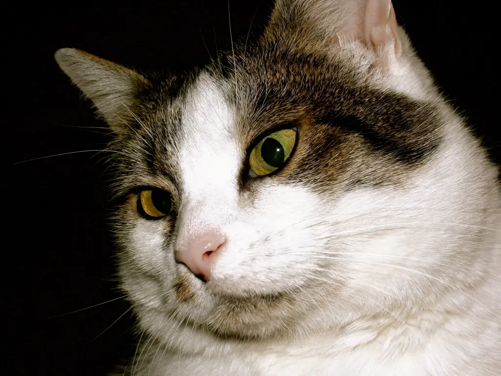 Image from Cleo & JimBob