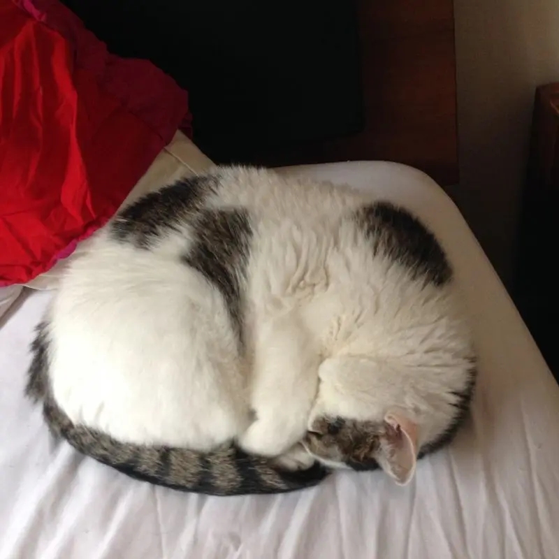 Image from Cleo & JimBob