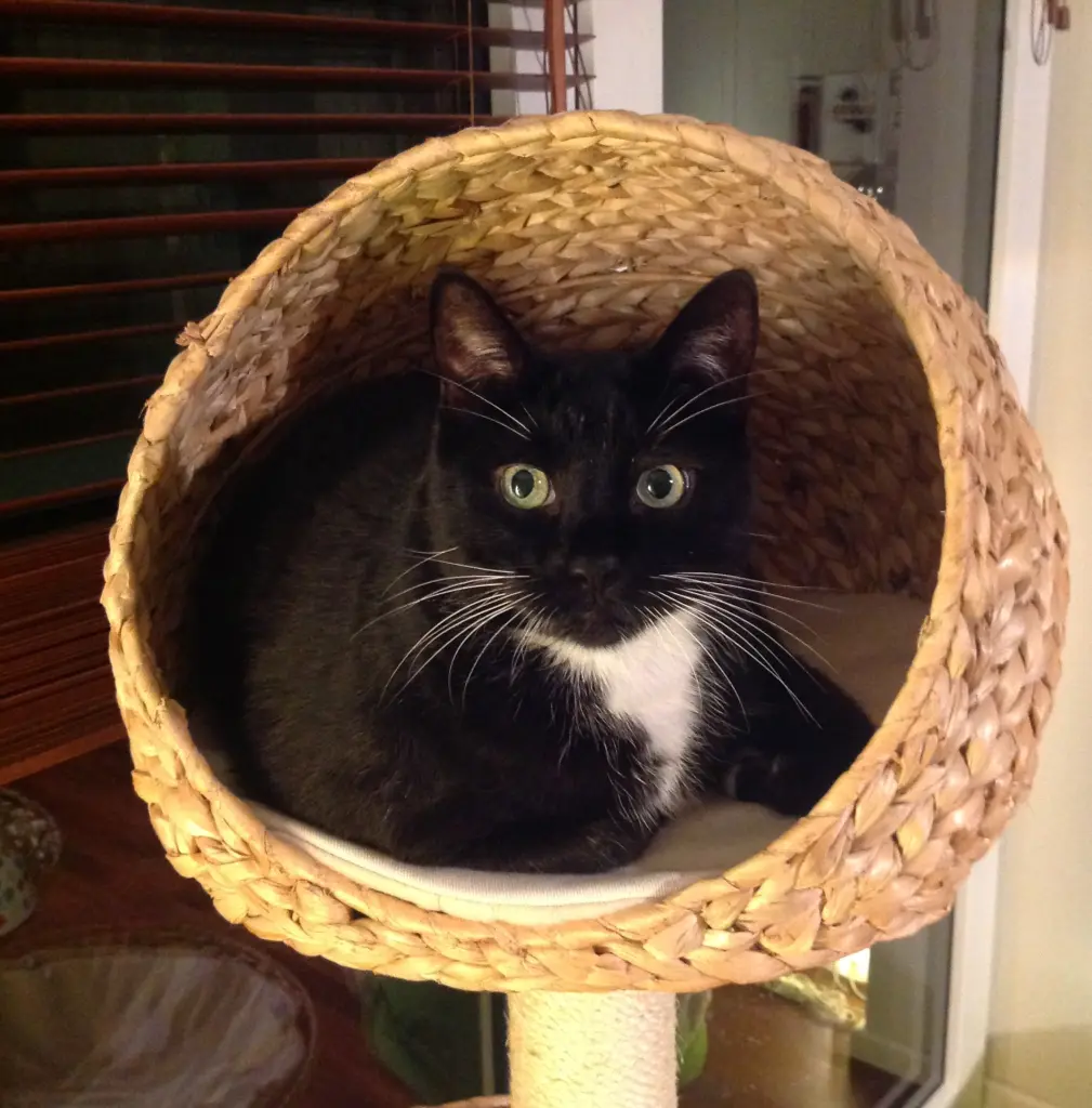 Image from Cleo & JimBob