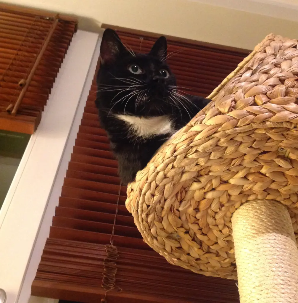 Image from Cleo & JimBob