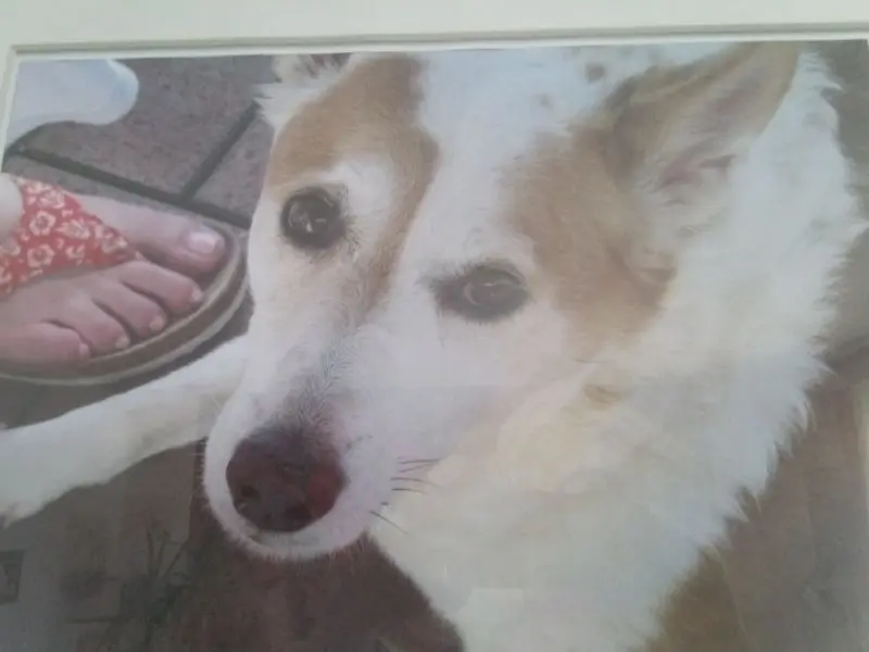 Condolence image of Frank