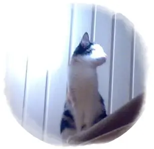 Image from Emmie