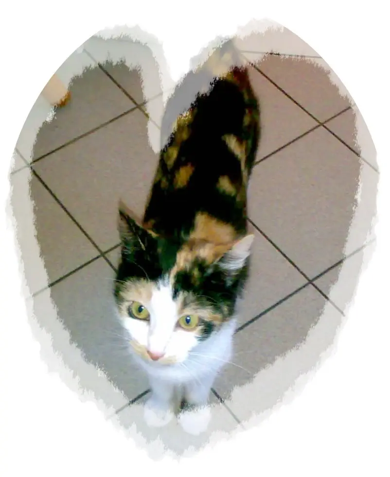 Image from Emmie