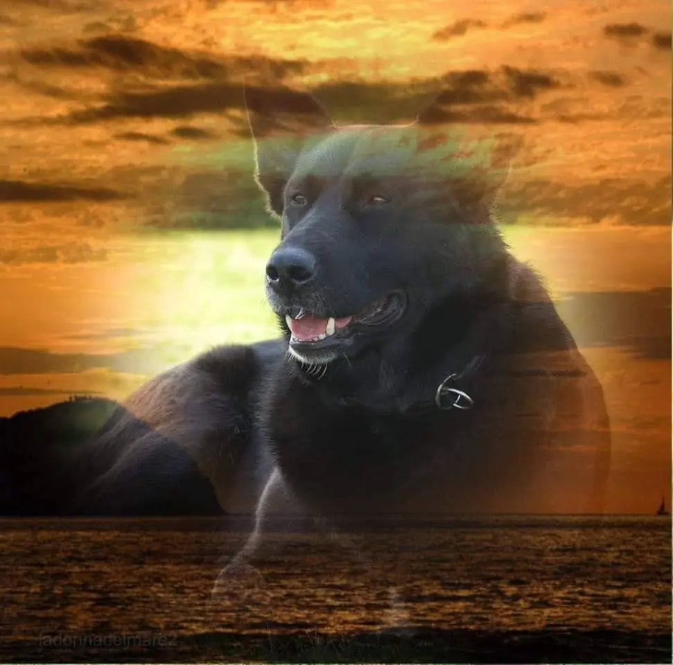 Condolence image of Kirsten