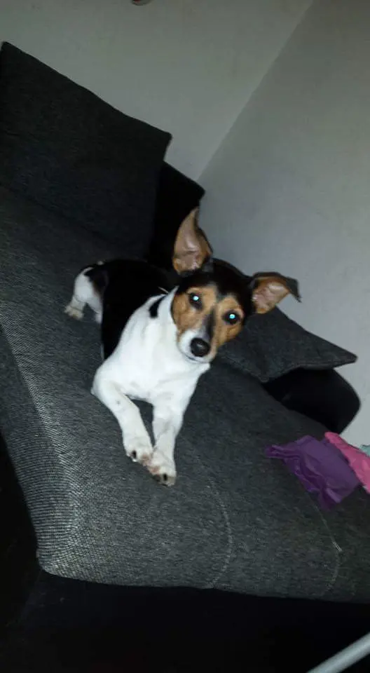 Image from Colin