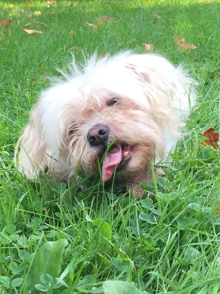 Andachtsbild von Manuela