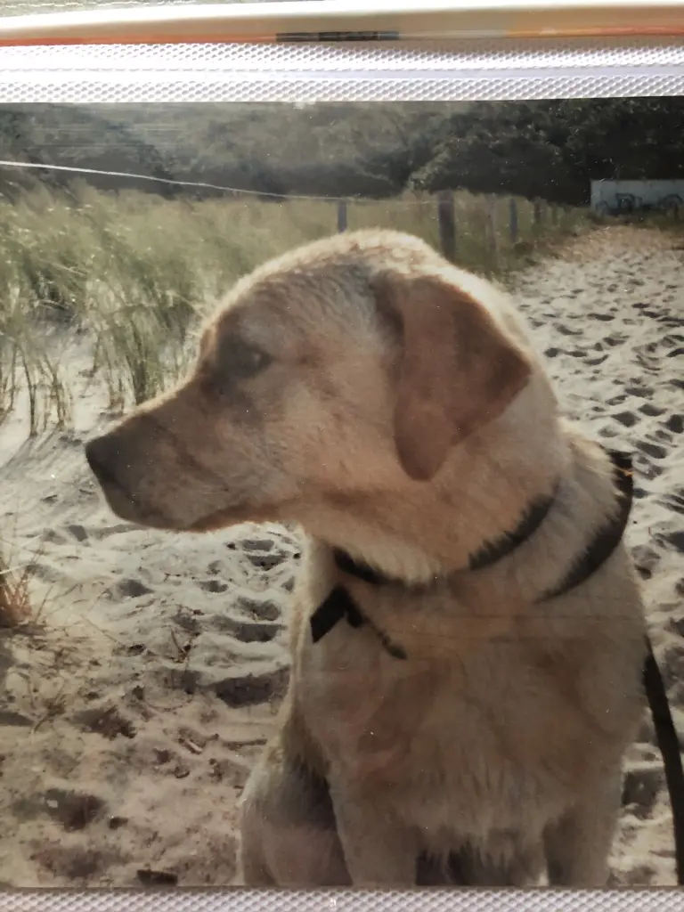 Condolence image of Claudia