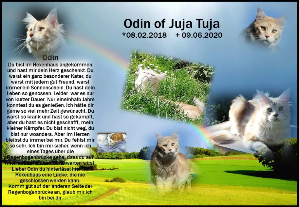 Image from Odin