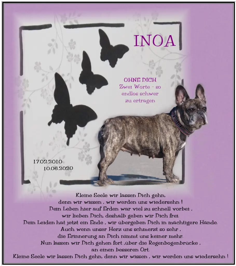 Image from Inoa