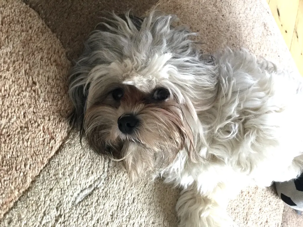 Condolence image of Madeleine