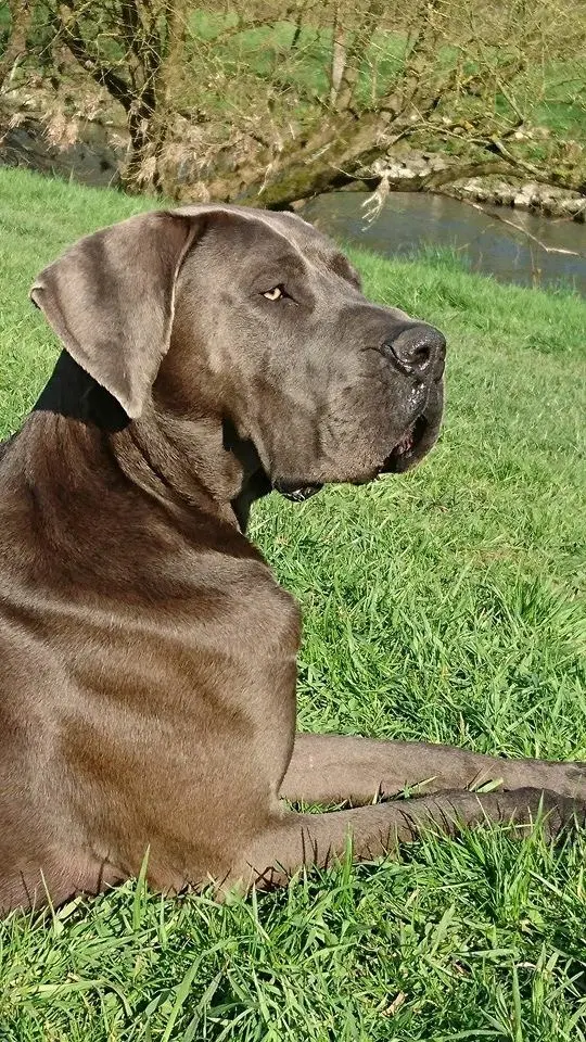 Image from Milow