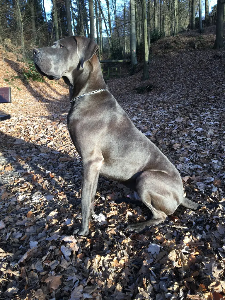 Image from Milow