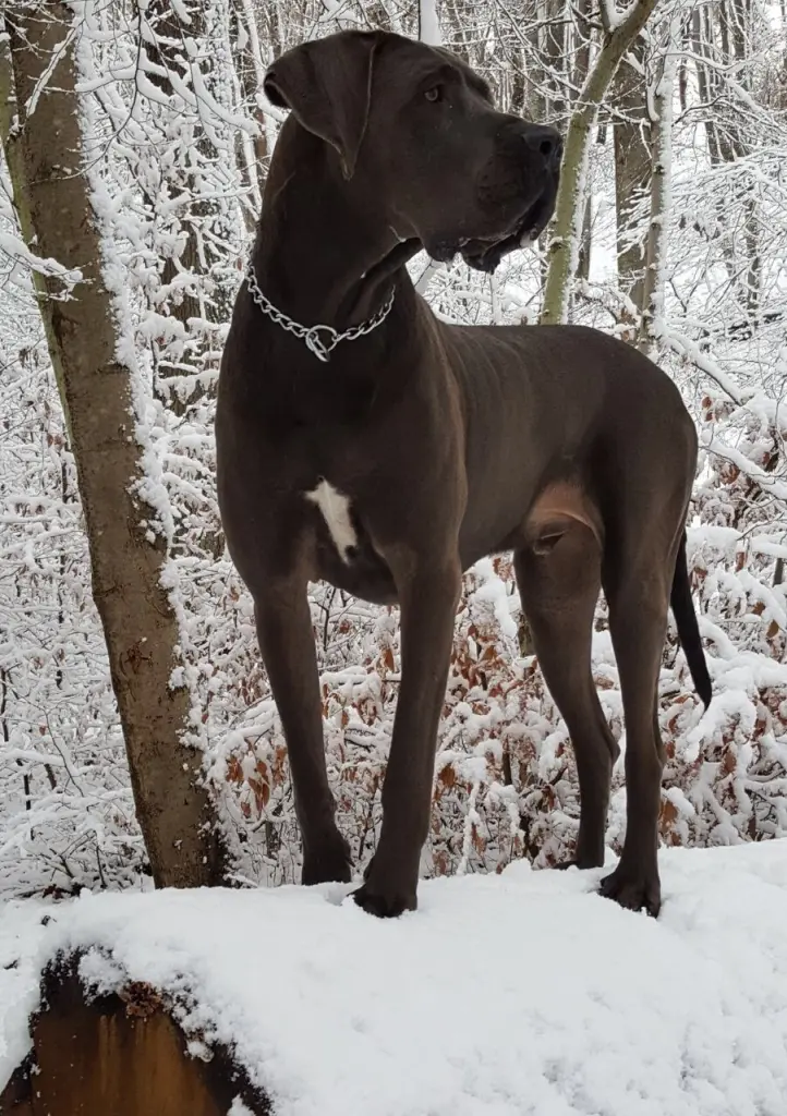 Image from Milow