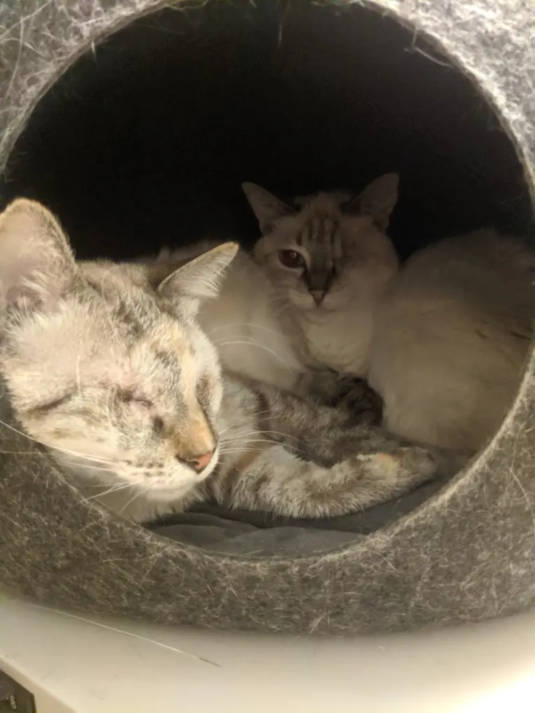 Image from Mar