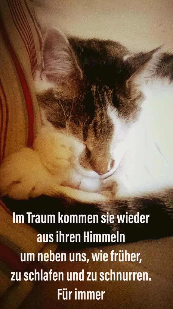 Image from Mads