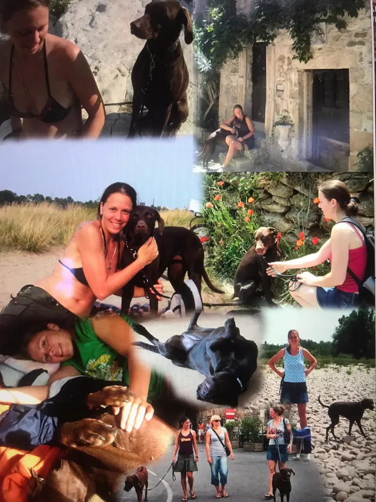 Image from Kara