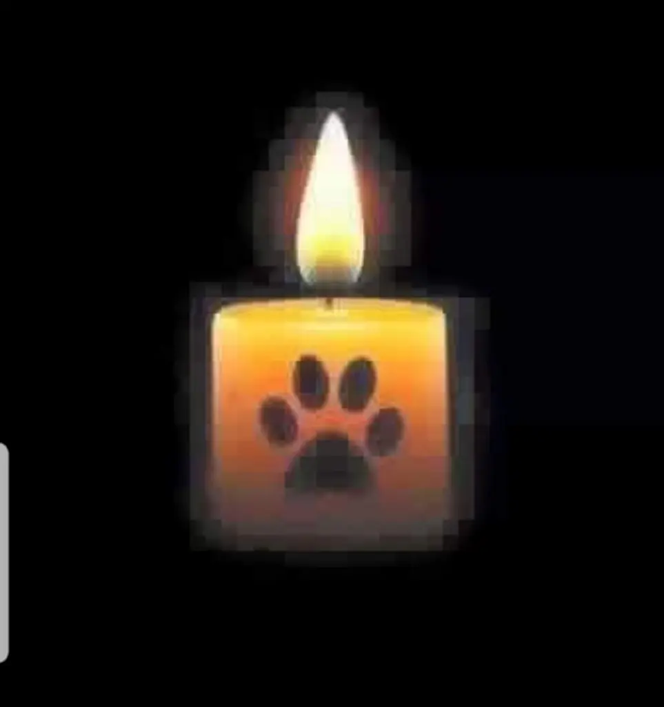 Condolence image of Unbekannt