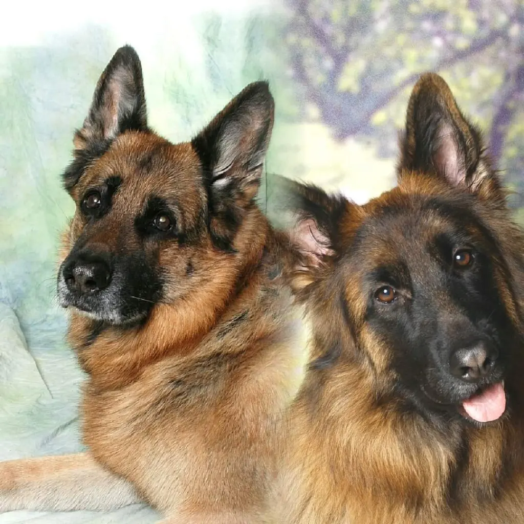 Condolence image of Unbekannt